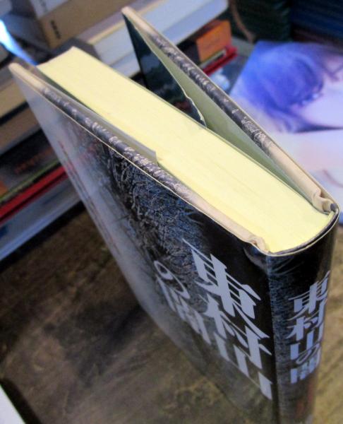 怪死―東村山女性市議転落死事件 東村山の闇: 「女性市議転落死事件」8年目の真実 | 朝木直子