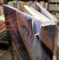 Material wealth : living with luxurious fabrics