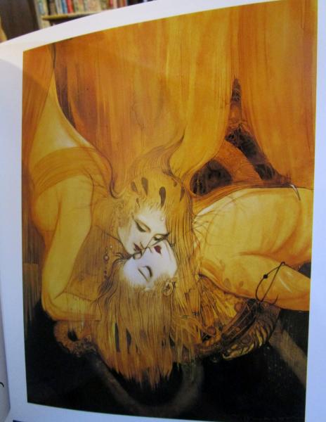 天野喜孝画集 天野喜孝 古本はてなクラブ 古本 中古本 古書籍の通販は 日本の古本屋 日本の古本屋