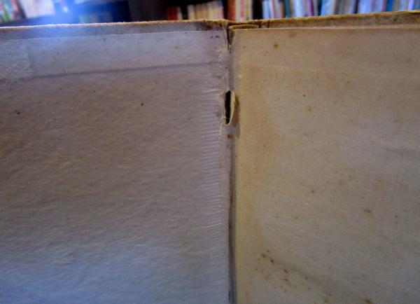 【売り切り御免！】 わたくしの歩いた道(平塚らいてう 著) / 古本、中古本、古書籍の 伝記、人物評伝