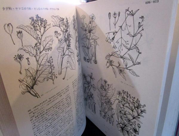 寺崎日本植物図譜(寺崎留吉 図 ; 奥山春季 編) / 古本、中古本、古書籍