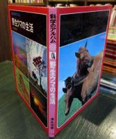 科学のアルバム　野生ウマの生活