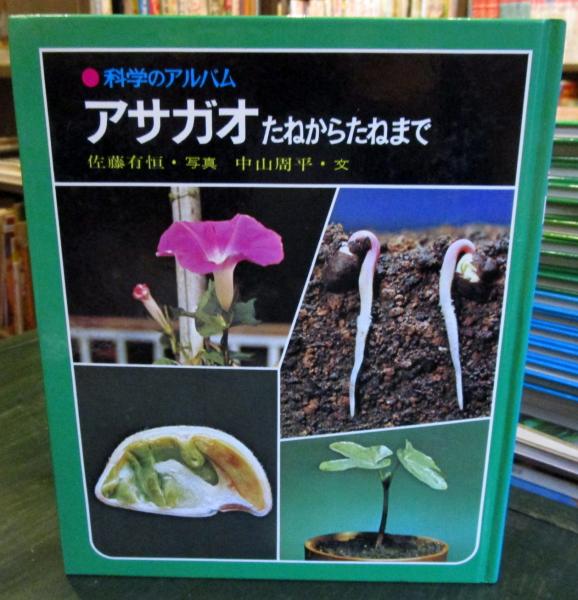 科学のアルバム アサガオ たねからたねまで 古本 中古本 古書籍の通販は 日本の古本屋 日本の古本屋