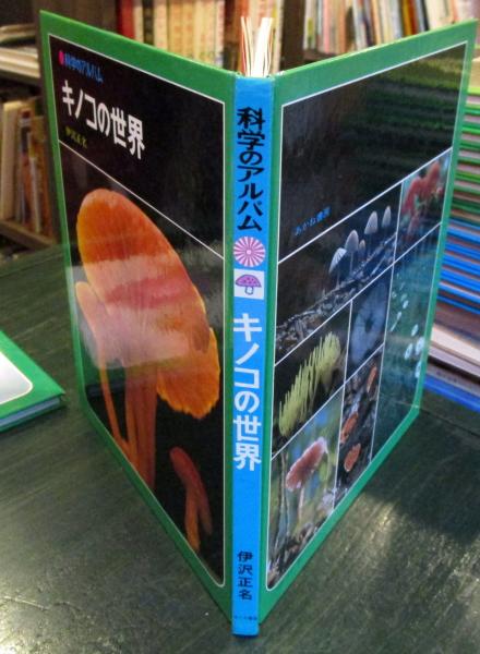 科学のアルバム キノコの世界(伊沢 正名【著】) / 古本、中古本、古 