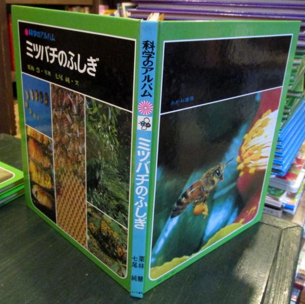 科学のアルバム ミツバチのふしぎ(栗林 慧【写真】;七尾 純【文