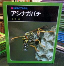 科学のアルバム　アシナガバチ
