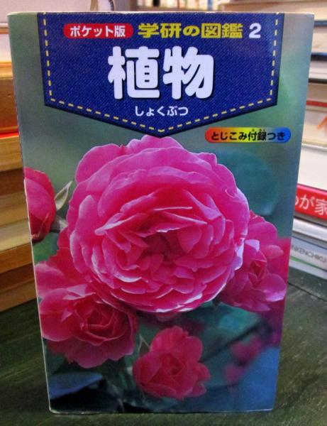 ポケット版 学研の図鑑 2 植物 高橋 秀男 監修 指導 古本 中古本 古書籍の通販は 日本の古本屋 日本の古本屋 ポケット版 学研の図鑑 2 植物 高橋 秀男 監修 指導 古本 中古本 古書籍の通販は 日本の古本屋 日本の古本屋