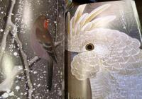 芸術新潮　2015年 4月号　特集・若冲