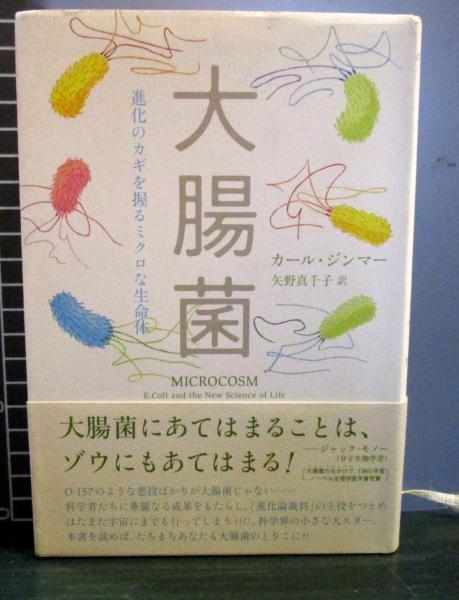 大腸菌 進化のカギを握るミクロな生命体 カール ジンマー 著 矢野真千子 訳 古本 中古本 古書籍の通販は 日本の古本屋 日本の古本屋 大腸菌 進化のカギを握るミクロな生命体 カール ジンマー 著 矢野真千子 訳 古本 中古本 古書籍の通販は 日本の古本屋 日本の古本屋