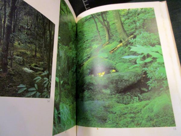 飯田十基庭園作品集(日本庭園協会編) / 古本、中古本、古書籍の通販は