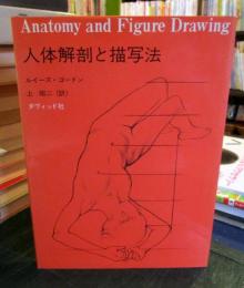 人体解剖と描写法