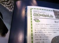 よるになると ＜かがくのとも＞　通巻484号　2009年7月号
