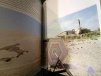 Net.it : A Snapshot of Contemporary Architecture, Design and Photography in Italy