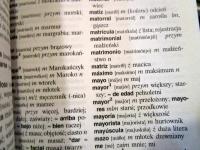 Polish-Spanish Berlitz Pocket Dictionary