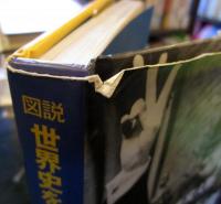 図説世界史を変えた50の指導者(リーダー)