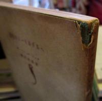 ヘルデルリーンの生涯 : 書簡集を通じて