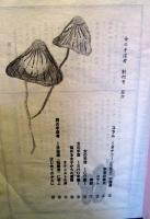女の手淫考　創刊号
