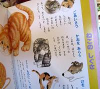 ねこ