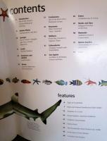 Marine Life of　Southeast Asia and the Pacific