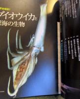 ダイオウイカと深海の生物 : 世界初撮影! : 伝説の巨大イカをとらえた!