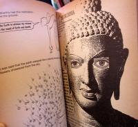 Buddha for beginners　　