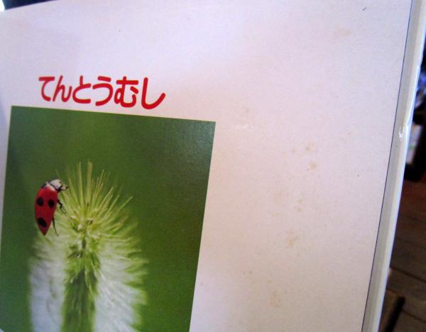 はちしゃん、てんとうむししゃん、はーとぽしぇっと3点セット