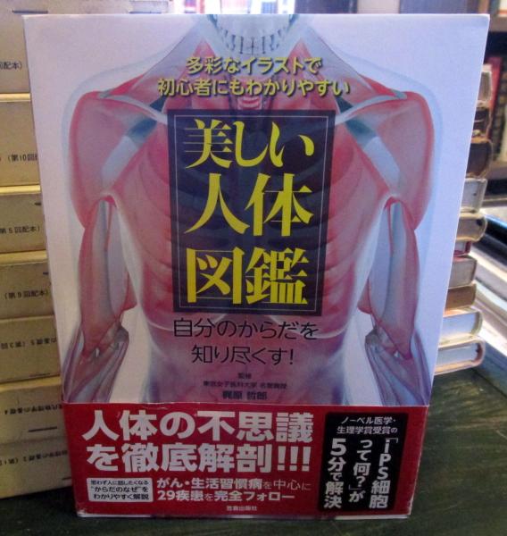 美しい人体図鑑 多彩なイラストで初心者にもわかりやすい 自分のからだを知り尽くす 梶原哲郎 監修 古本はてなクラブ 古本 中古本 古書籍の通販は 日本の古本屋 日本の古本屋