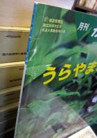 うらやまのエゾリス　かがくのとも　2003年10月　折り込みふろく付