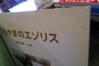 うらやまのエゾリス　かがくのとも　2003年10月　折り込みふろく付