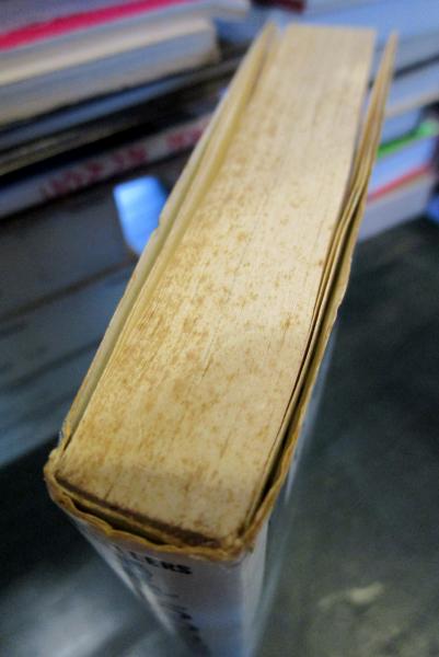 あのねのね 今だから愛される本 あのねのね 著 古本はてなクラブ 古本 中古本 古書籍の通販は 日本の古本屋 日本の古本屋