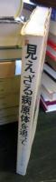 見えざる病原体を追って : ウィルス学史序論