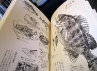 釣った魚を美味しくいただく技教えます : さばきの基本技から、魚種別料理法まで!! 実戦的釣り人料理マニュアル