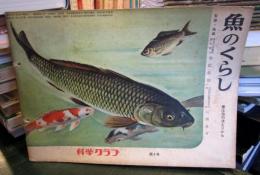 科学クラブ　第5号　魚のくらし