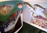 科学クラブ　第5号　魚のくらし