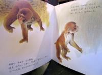 ついてゆこう　にほんざるのくらし　かがくのとも　197号
