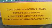 100回目のお引っ越し