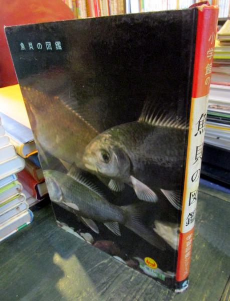 魚貝の図鑑(末広恭雄, 黒田新市 著 ; 坂本貫一 等絵) / 古本