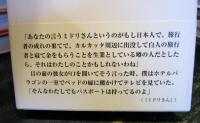 クミコハウス