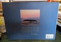 Mitsuaki Iwago's whales