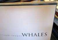 Mitsuaki Iwago's whales