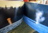 Mitsuaki Iwago's whales