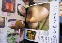 考えるキノコ = The many faces of the mysterious mushroom : 摩訶不思議ワールド