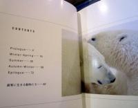 The white planet : photo book