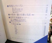 栗林慧・人と作品
