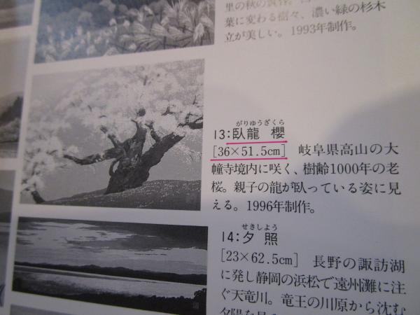 美術品・アンティーク・コレクション 佐野せいじ 臥龍櫻