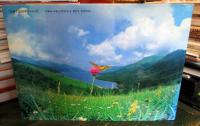 蝶の飛ぶ風景 : Butterflies