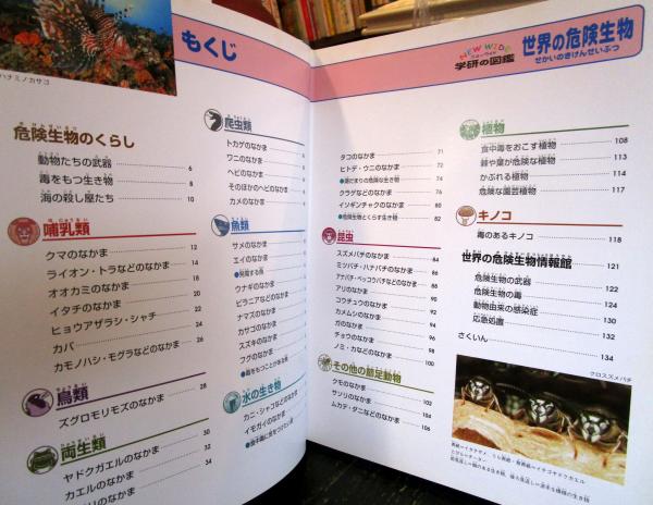 世界の危険生物(今泉 忠明【監修】) / 古本、中古本、古書籍の通販は