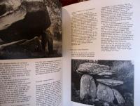 Standing stones and other monuments of early Ireland