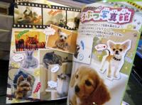 感動のどうぶつ物語