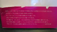 智恵子その愛と美